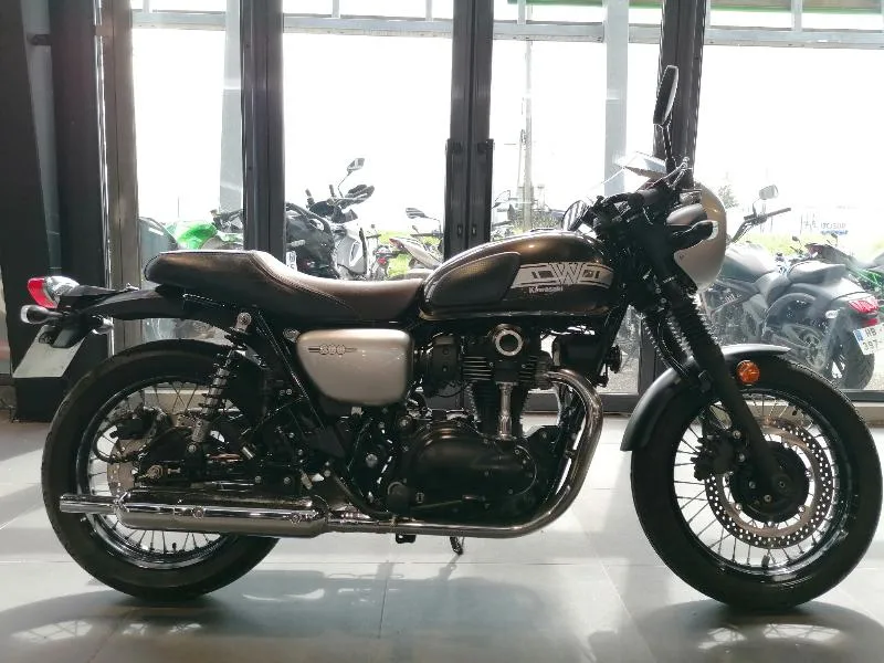 W 800 2019