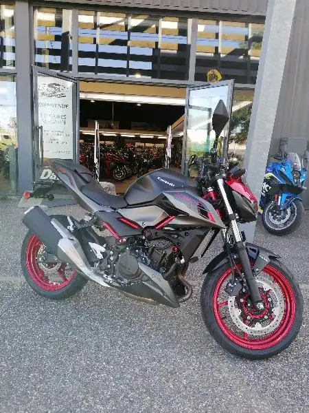 Z 500 SE