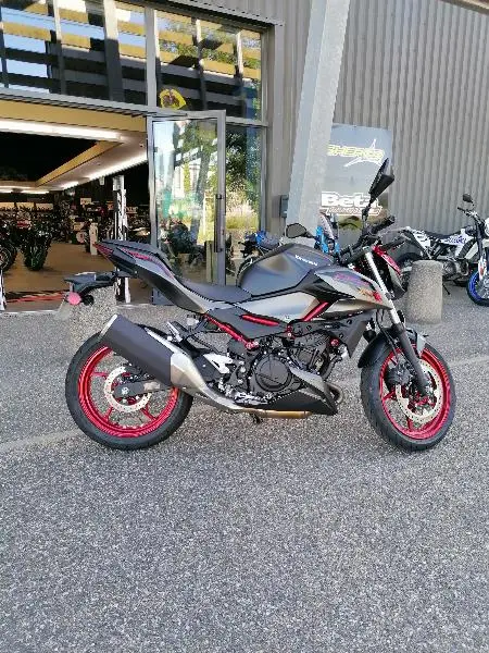 Z 500 SE
