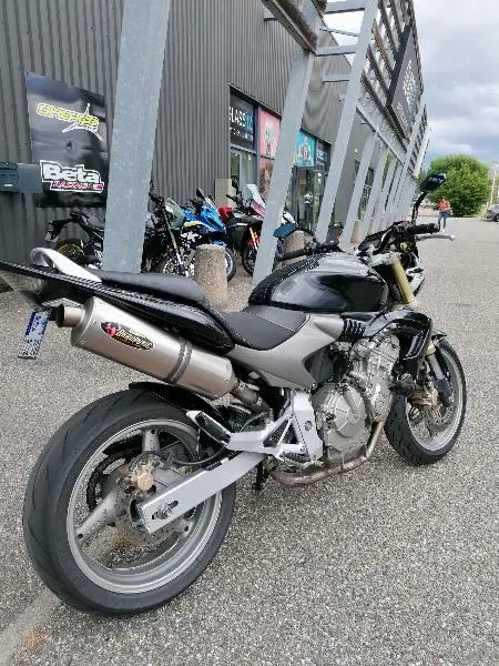 CB 600 HORNET