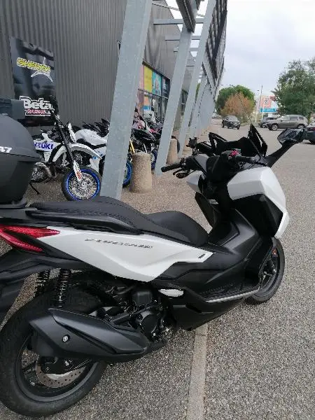 NSS FORZA 350