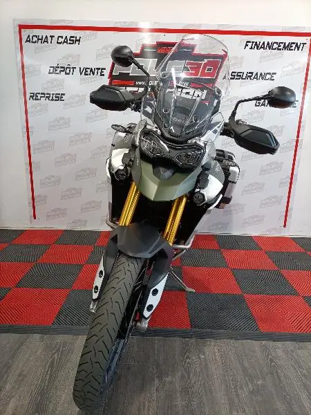 TIGER 900 RALLY PRO