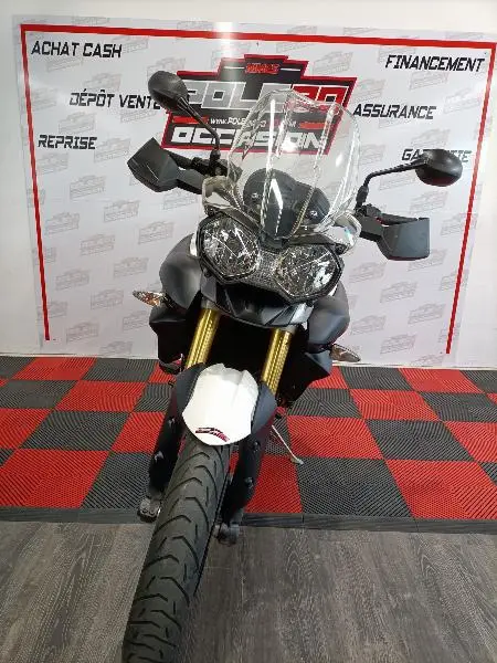 TIGER 800 XR