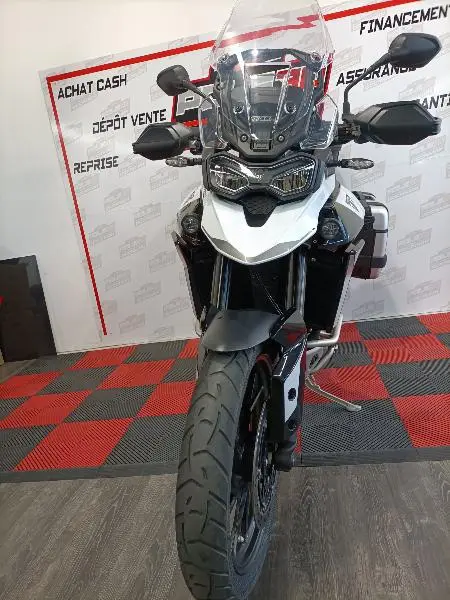 Tiger 900 GT PRO