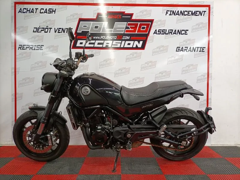 LEONCINO 500