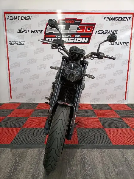 LEONCINO 500
