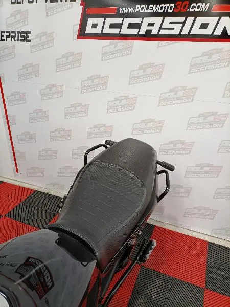 LEONCINO 500