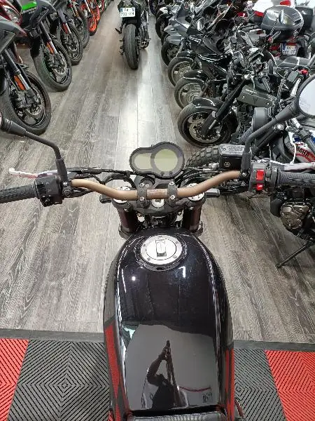 LEONCINO 500