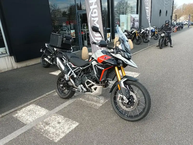 TIGER 900 RALLY PRO 2024