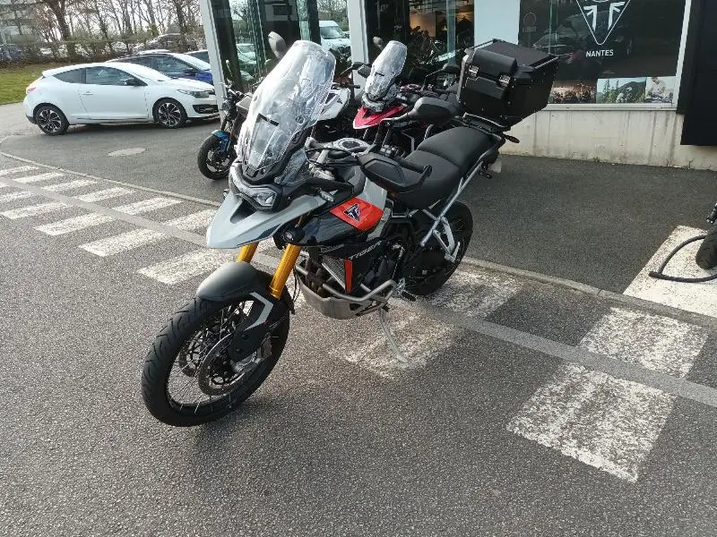 TIGER 900 RALLY PRO