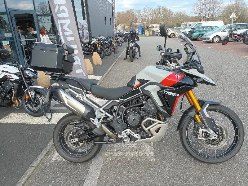 TIGER 900 RALLY PRO