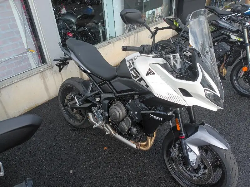 TIGER SPORT 660 2025
