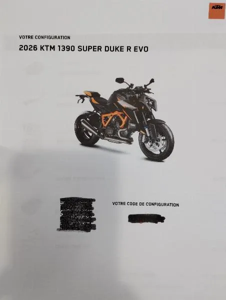 1390 SUPER DUKE R EVO