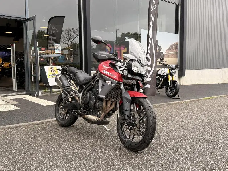 TIGER 800 XRT
