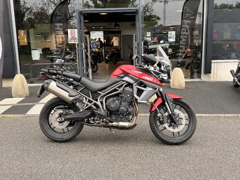 TIGER 800 XRT