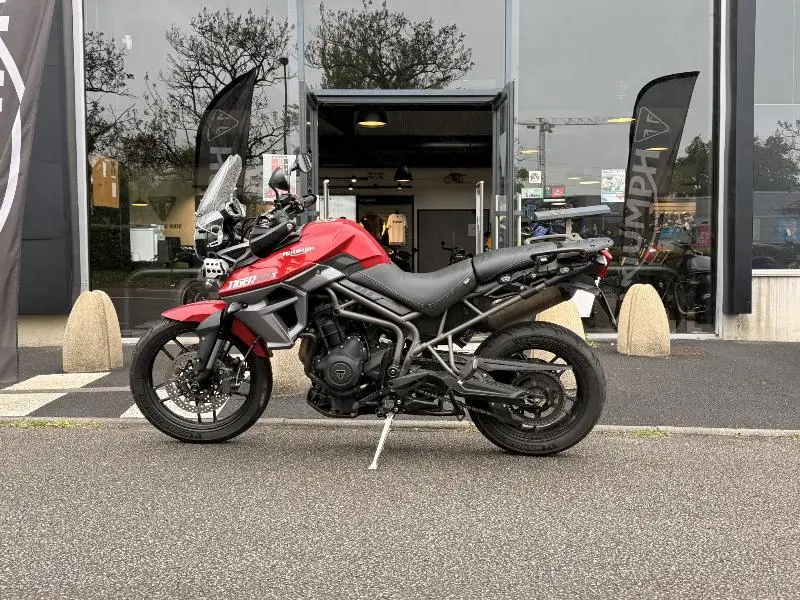 TIGER 800 XRT