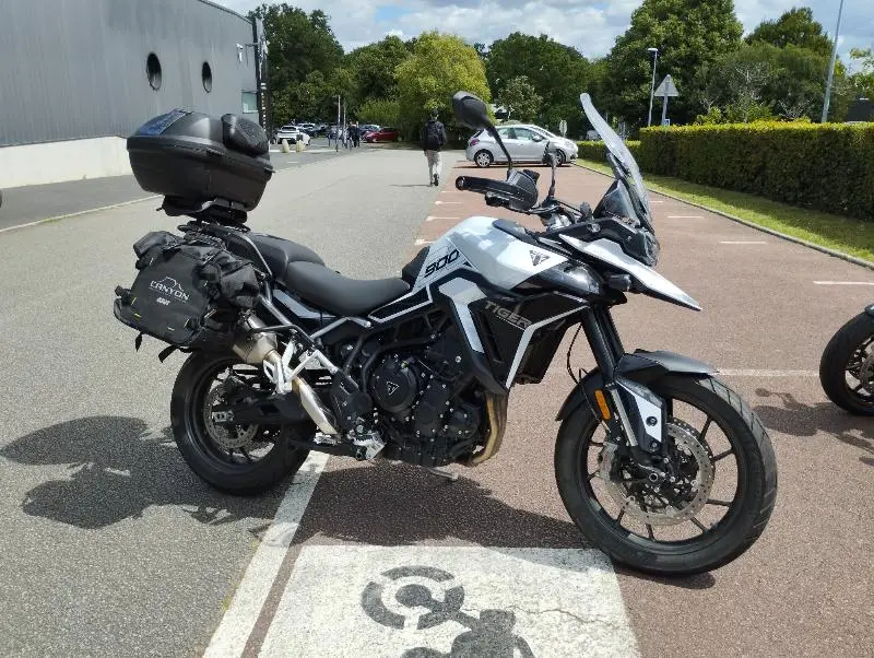 Tiger 900 GT PRO
