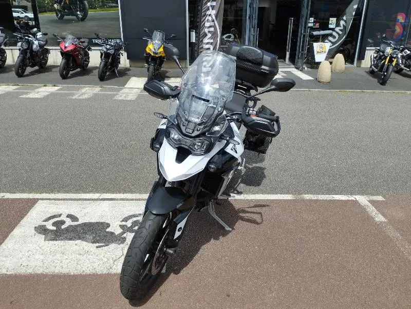 Tiger 900 GT PRO