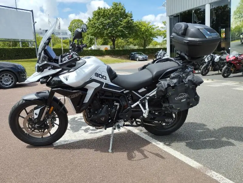 Tiger 900 GT PRO