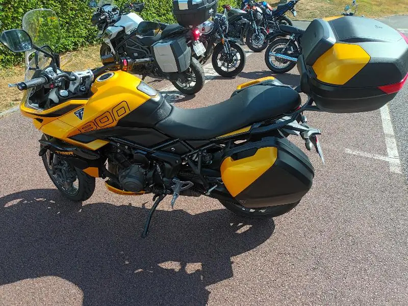 TIGER SPORT 800