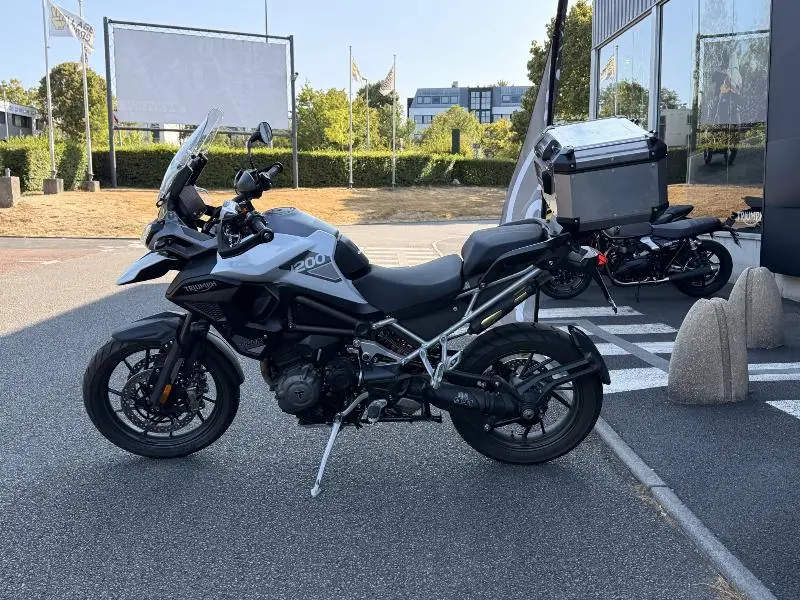 TIGER 1200 GT PRO