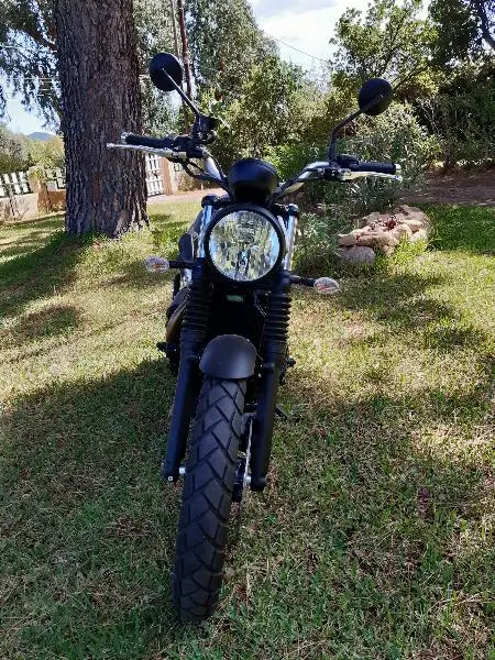 STREET SCRAMBLER 900