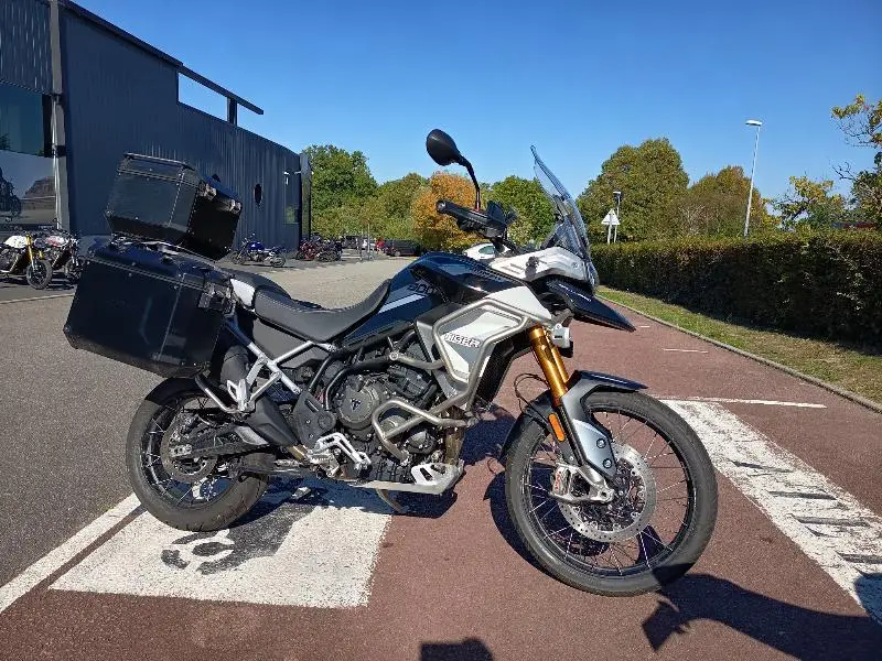 TIGER 900 RALLY PRO