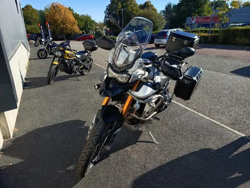 TIGER 900 RALLY PRO