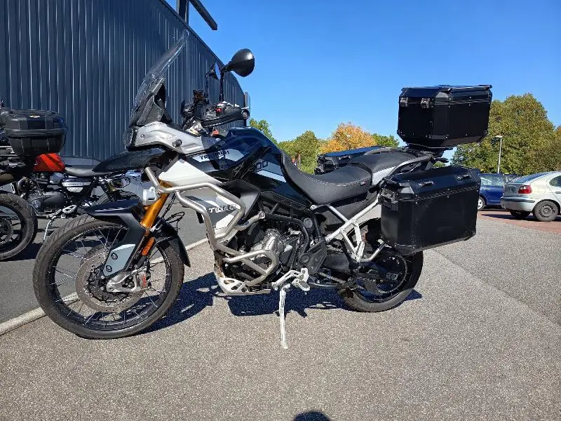 TIGER 900 RALLY PRO