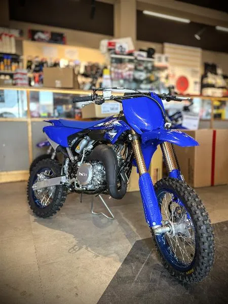 YZ65