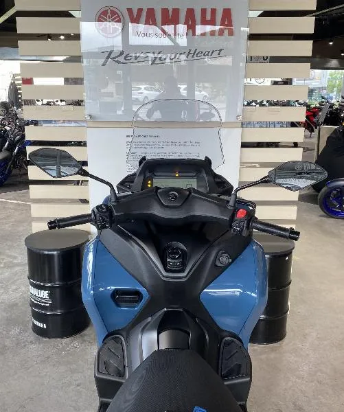 TRICITY 300