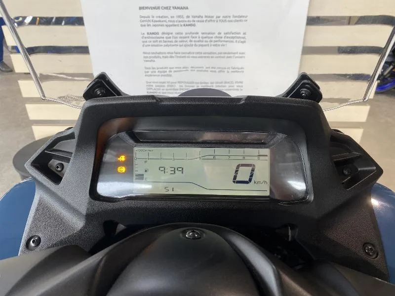 TRICITY 300