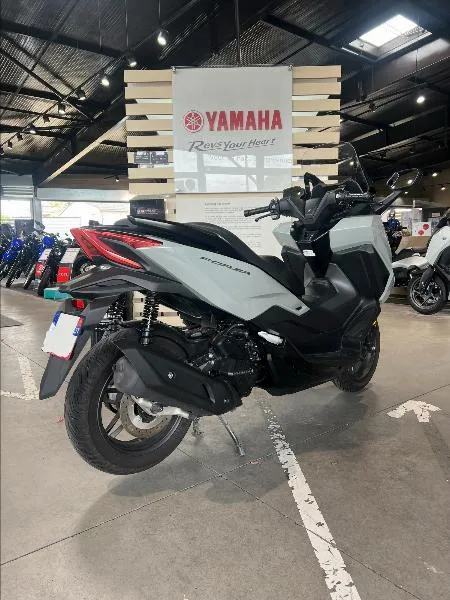 NSS FORZA 125