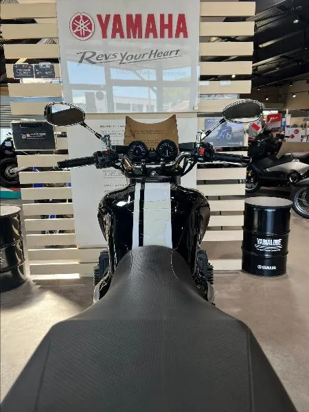 XJR 1300