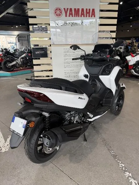TRICITY 300