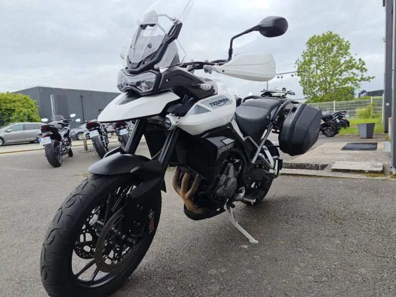 Tiger 900 GT PRO 2020