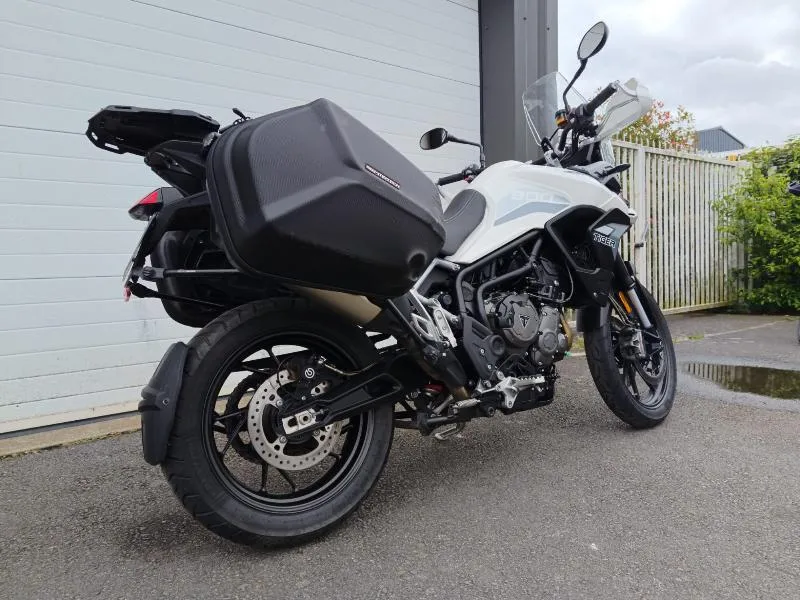 Tiger 900 GT PRO