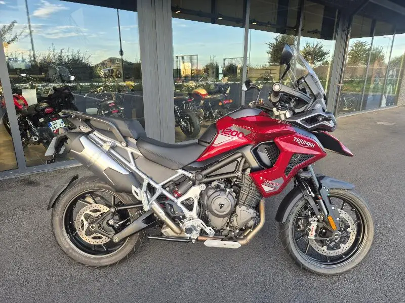 TIGER 1200 GT PRO