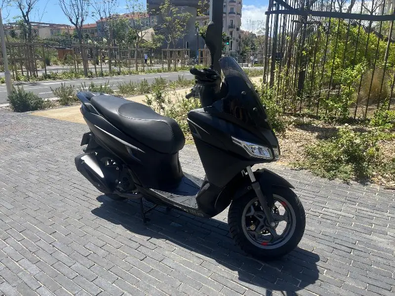 SXR 50