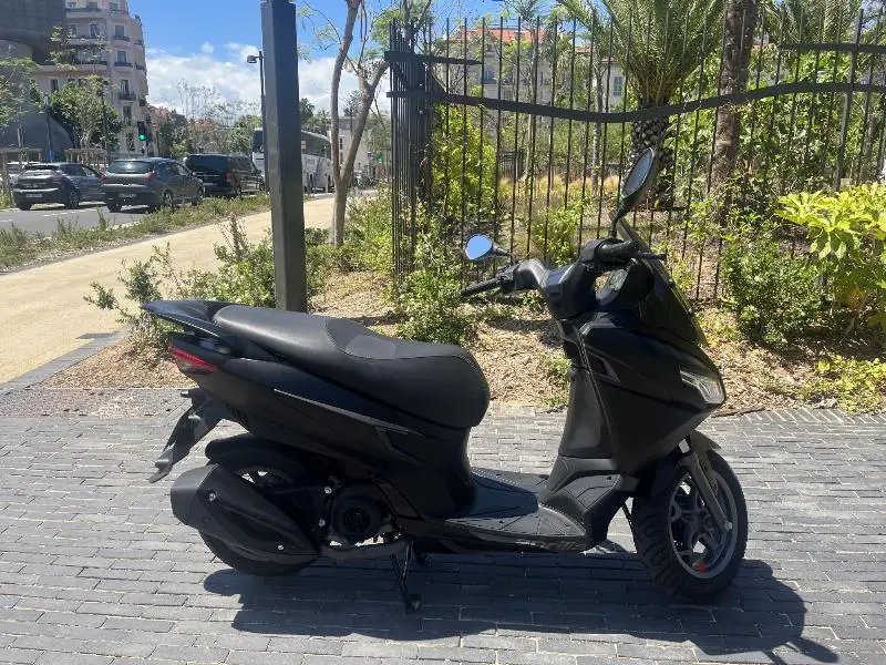 SXR 50