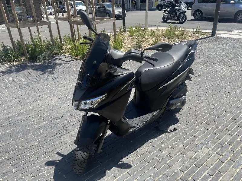 SXR 50