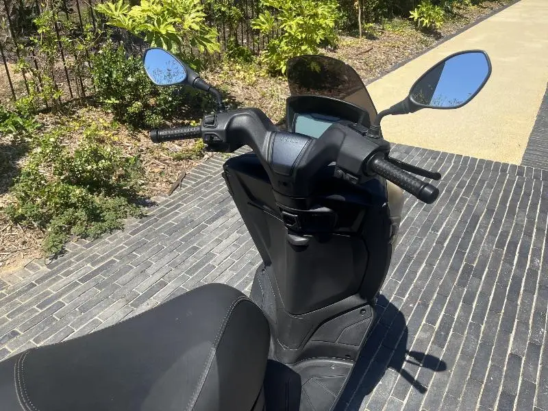 SXR 50