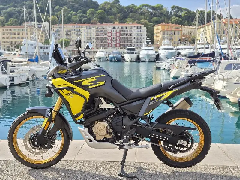 DS 800 X RALLY