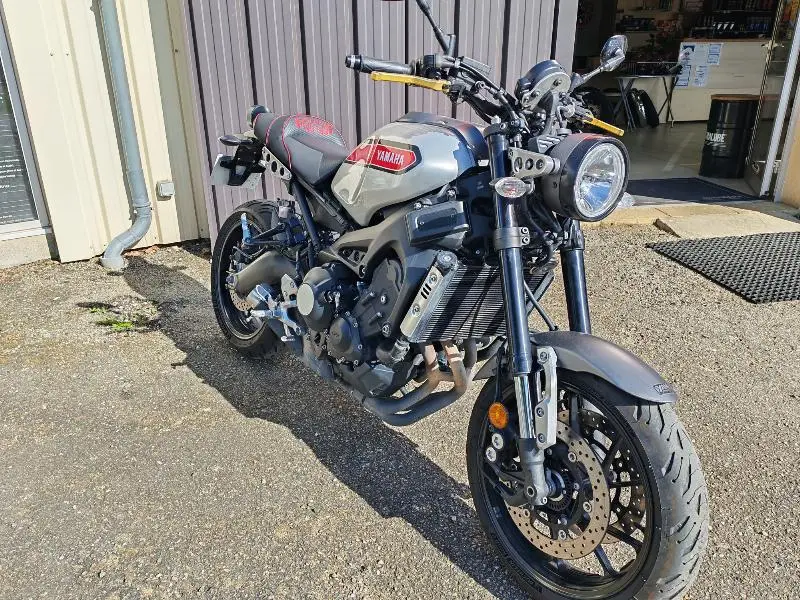 XSR 900 2019