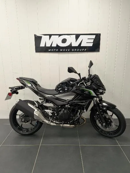 Z 500 2025