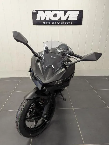 Ninja 500