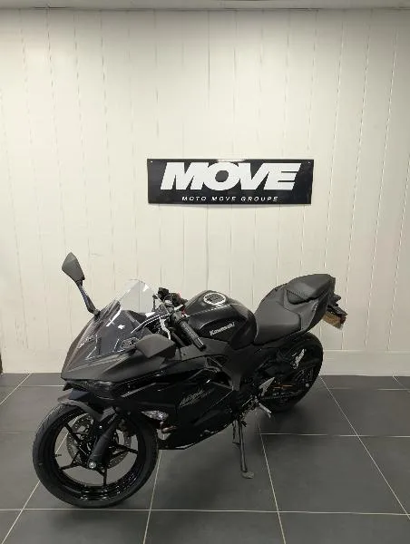 Ninja 500