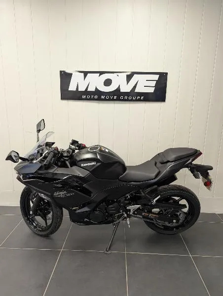 Ninja 500