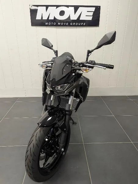 Z 500