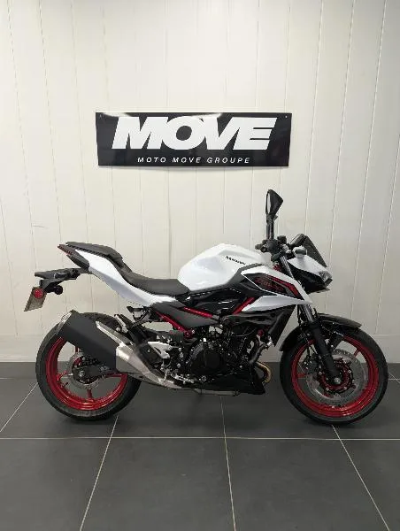Z 500 SE